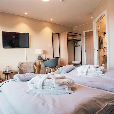호텔 Viking Aqua & Wellness 4*