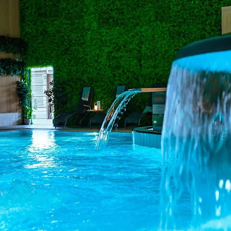 호텔 Viking Aqua & Wellness