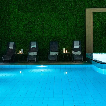 Viking Aqua & Wellness 호텔 4*